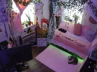 voyeurcam veccasalt 01's Live Sex Cam Show