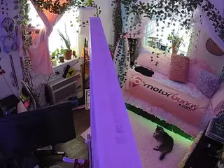 voyeurcam veccasalt 01's Live Sex Cam Show