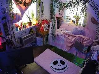 voyeurcam veccasalt 01's Live Sex Cam Show