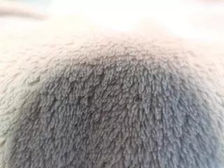 Celestara's Live Sex Cam Show