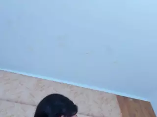 AntonellaRusso's Live Sex Cam Show