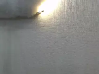MasterLeila's Live Sex Cam Show