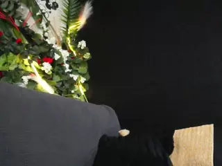 IngAiden's Live Sex Cam Show