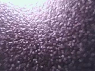 Rose Waters's Live Sex Cam Show