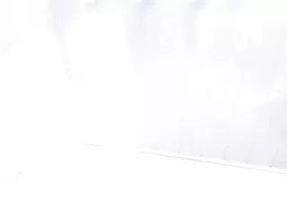 miiss-sofiii's Live Sex Cam Show