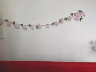 AbbyTaylorAA's Live Sex Cam Show