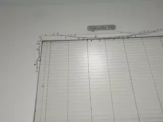 Savanna's Live Sex Cam Show