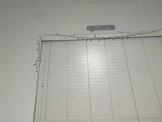 Savanna's Live Sex Cam Show