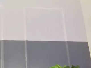 Nina's Live Sex Cam Show