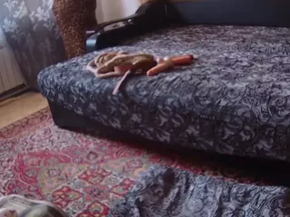 JuicyFruittt's Live Sex Cam Show