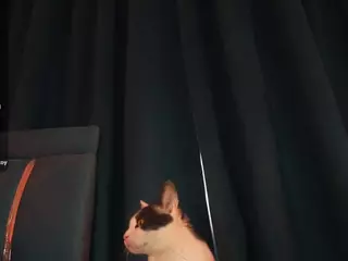 MesmErisse's Live Sex Cam Show