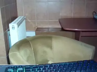 cataleyaangel's Live Sex Cam Show