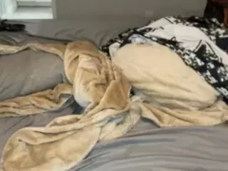 Ceecee's Live Sex Cam Show