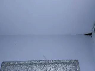 Melisa-bost1's Live Sex Cam Show
