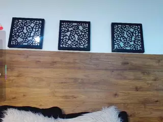 KAROL-SCOTT's Live Sex Cam Show
