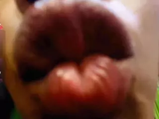 KAROL-SCOTT's Live Sex Cam Show