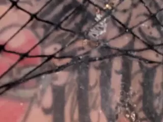 Fermercury's Live Sex Cam Show