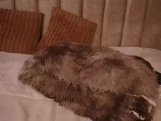 mia_saenz3's Live Sex Cam Show