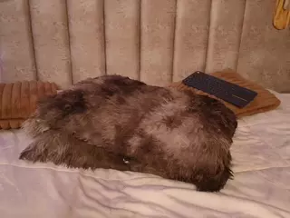 mia_saenz3's Live Sex Cam Show