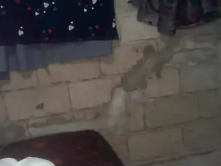 bellansm's Live Sex Cam Show