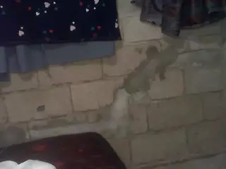bellansm's Live Sex Cam Show