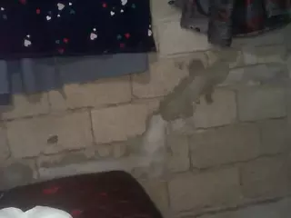 bellansm's Live Sex Cam Show