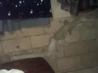 bellansm's Live Sex Cam Show