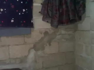 bellansm's Live Sex Cam Show