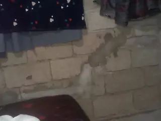 bellansm's Live Sex Cam Show
