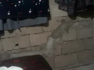bellansm's Live Sex Cam Show