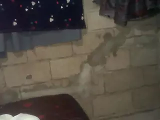 bellansm's Live Sex Cam Show