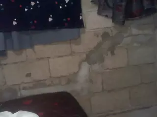 bellansm's Live Sex Cam Show