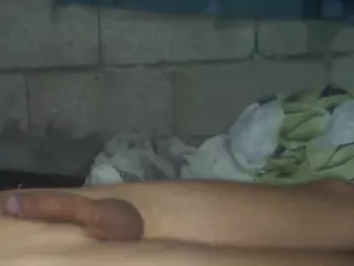 bellansm's Live Sex Cam Show