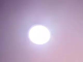 Cock Pleaser's Live Sex Cam Show