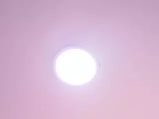 Cock Pleaser's Live Sex Cam Show