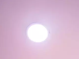 Cock Pleaser's Live Sex Cam Show