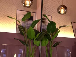Elle Diane 👑's Live Sex Cam Show