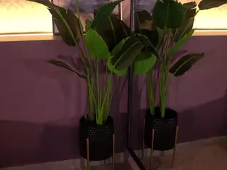 Elle Diane 👑's Live Sex Cam Show