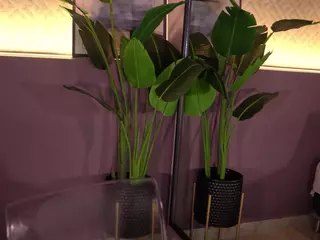 Elle Diane 👑's Live Sex Cam Show