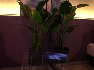 Elle Diane 👑's Live Sex Cam Show