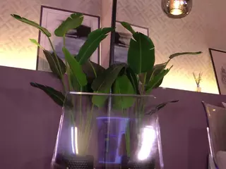 Elle Diane 👑's Live Sex Cam Show