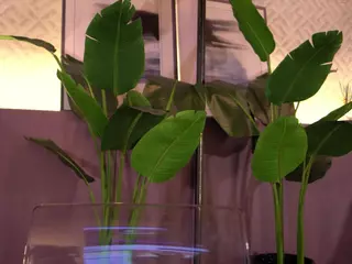 Elle Diane 👑's Live Sex Cam Show