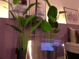 Elle Diane 👑's Live Sex Cam Show