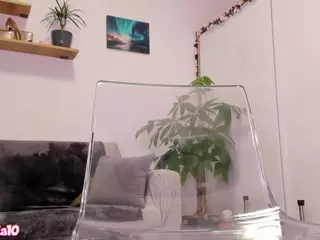Dia's Live Sex Cam Show