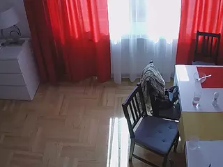 voyeurcam julmodels dining 2's Live Sex Cam Show
