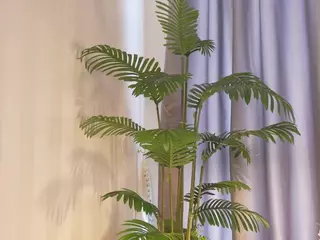 Lana-malone's Live Sex Cam Show
