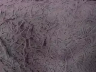 JoyceThompson's Live Sex Cam Show