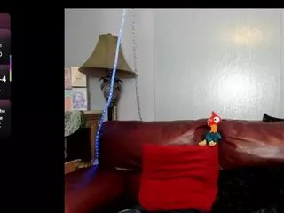 picky's Live Sex Cam Show