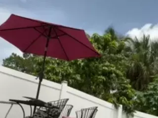 picky's Live Sex Cam Show
