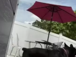 picky's Live Sex Cam Show
